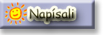 Napsali o ns